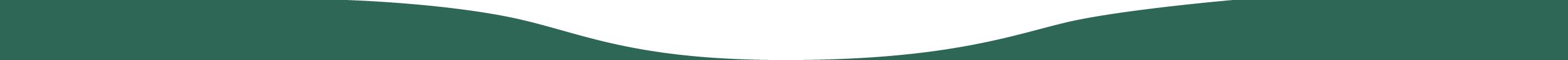 kawasaki-bg-bottom-footer-contact-top.png